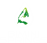 Bimini Springs